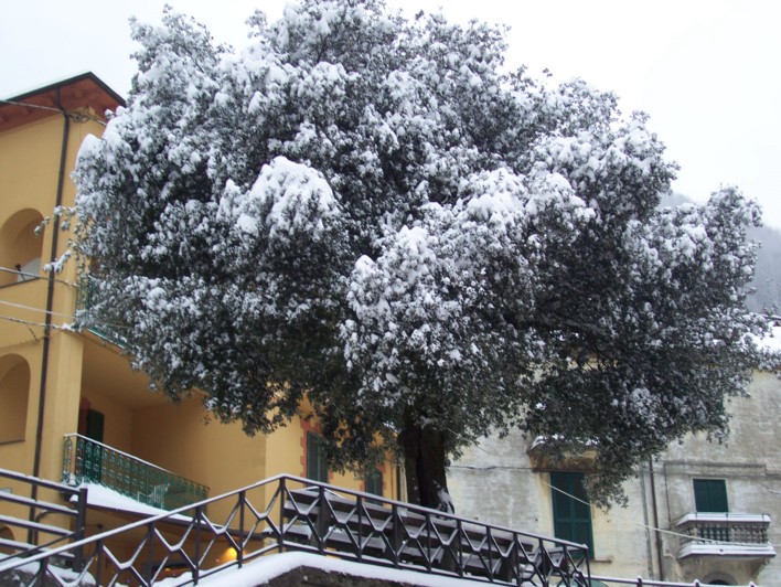  Image name: molino 2008 284.jpg 
 width: 708 pixel 
 height: 532 pixel 
 Size: 150310 bytes 
 Click to enlarge 